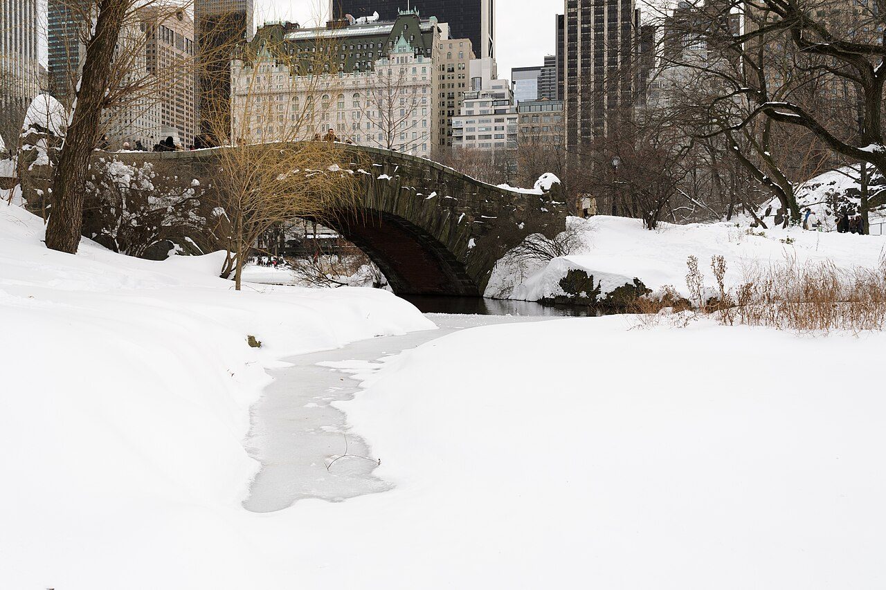 1 Hotel Central Park