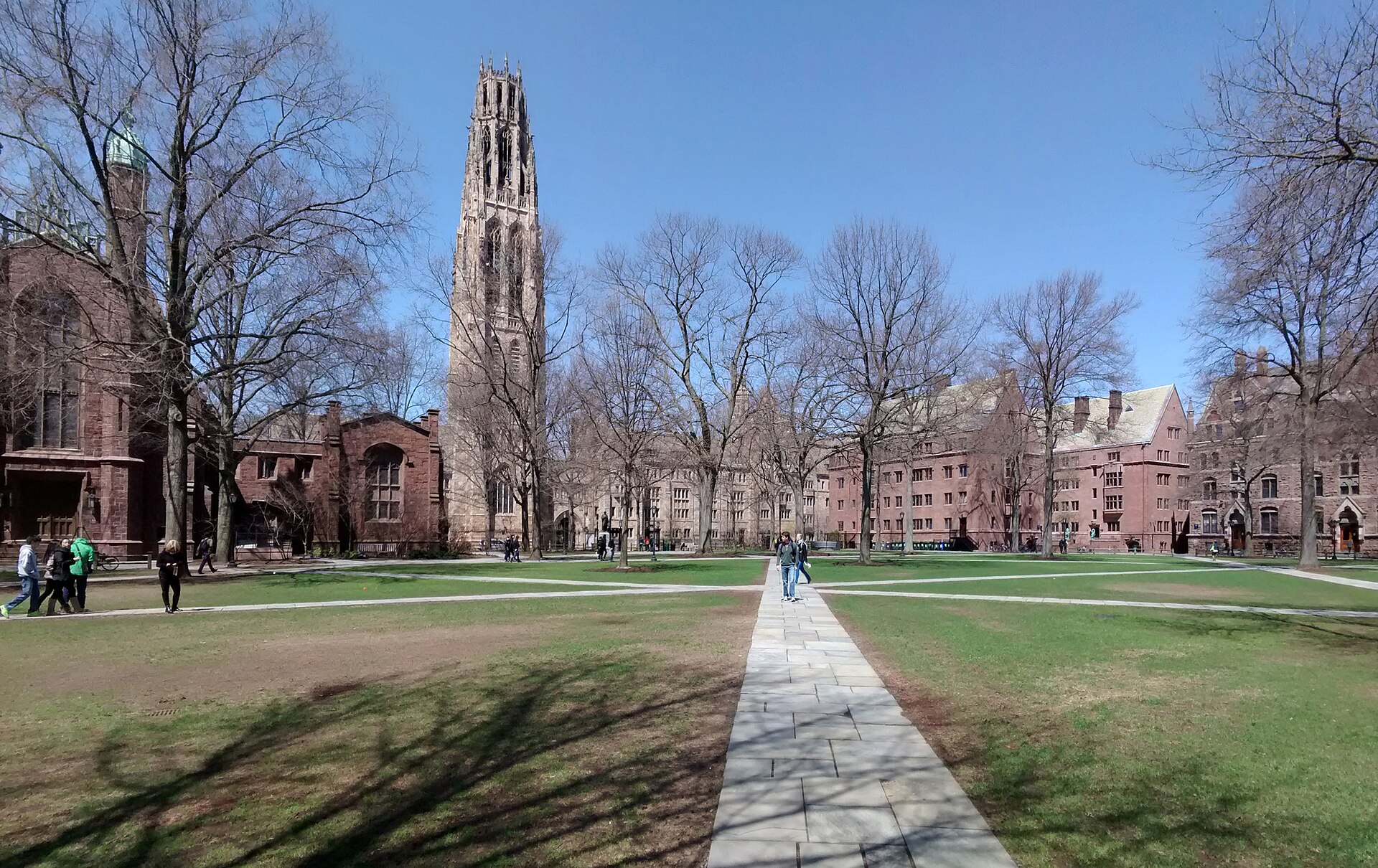 Como Ir de Nova York para New Haven: O Bate-Volta de Yale por US$ 18