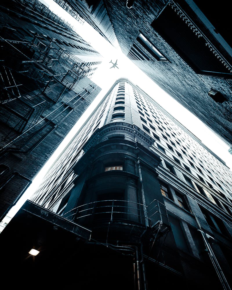 Westminster Dog Show 2026 em Nova York